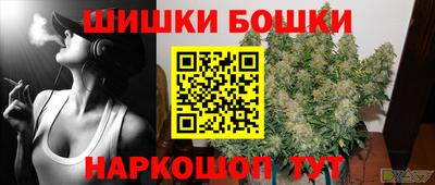 тгк Новодвинск