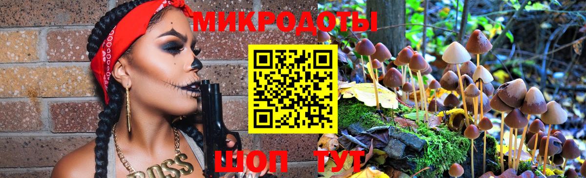Галлюциногенные грибы Cubensis Саяногорск